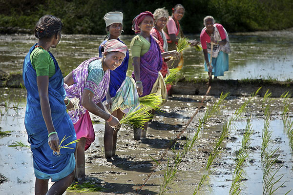 Agriculture & Farmers Development Program - Shiv Ganga Seva Samiti